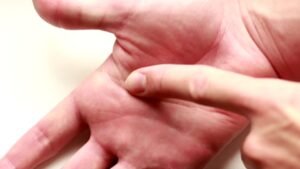 20231023 074032 300x169 1