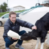 Mark Zuckerberg manages the farm
