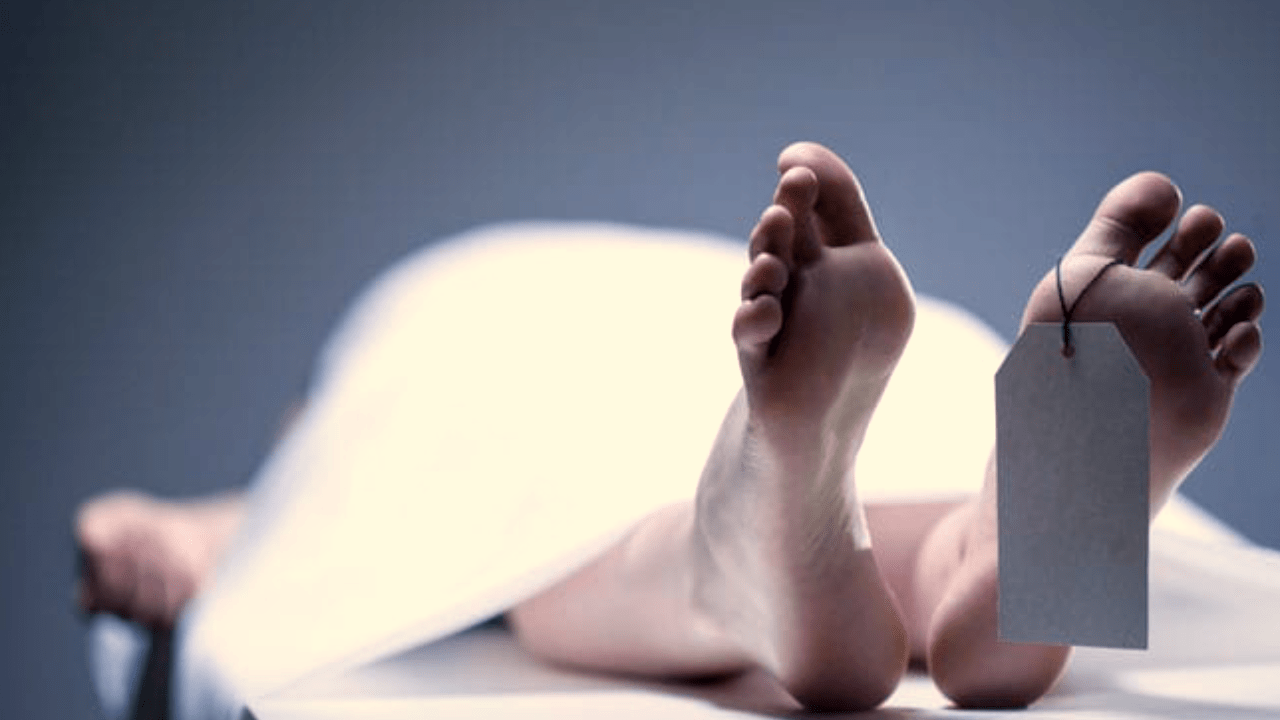 Vastu: If you go out for auspicious work and see a dead body, do this, you will be well
