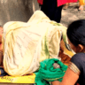 Anganwadi worker gave birth under a banyan tree