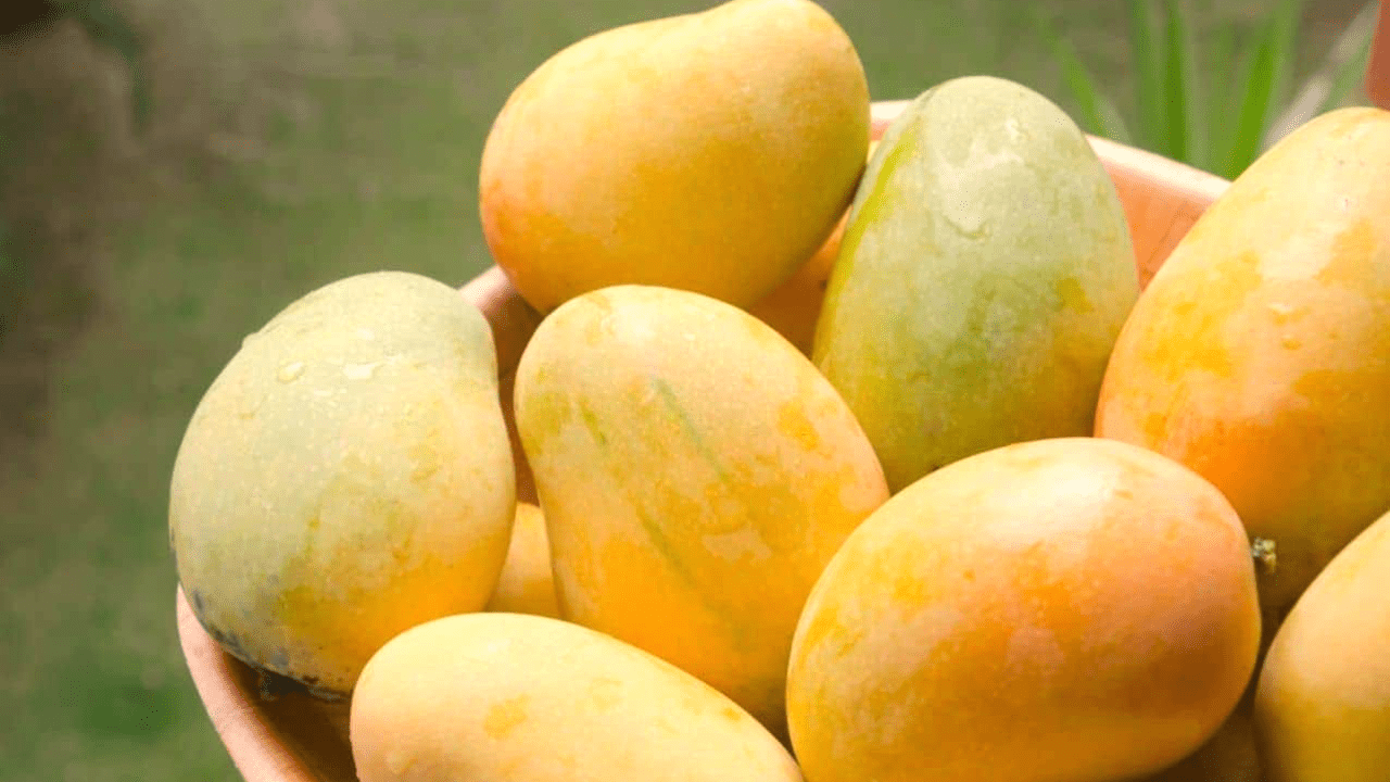 When you see a mango, you want to eat it, do you obey the rules?