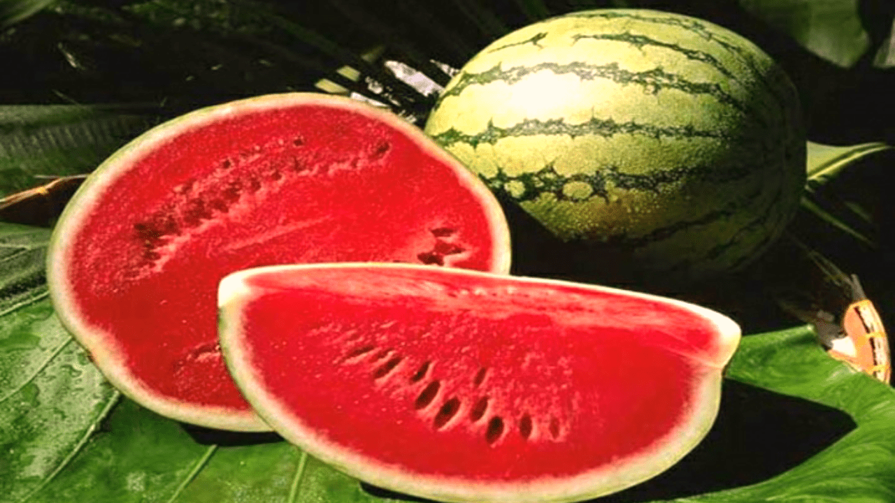 Watermelon peel makes youth strong like a horse, know how to eat it