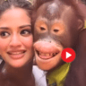 Two people's lips are exactly the same! Nusrat-chimpanzee pair goes viral
