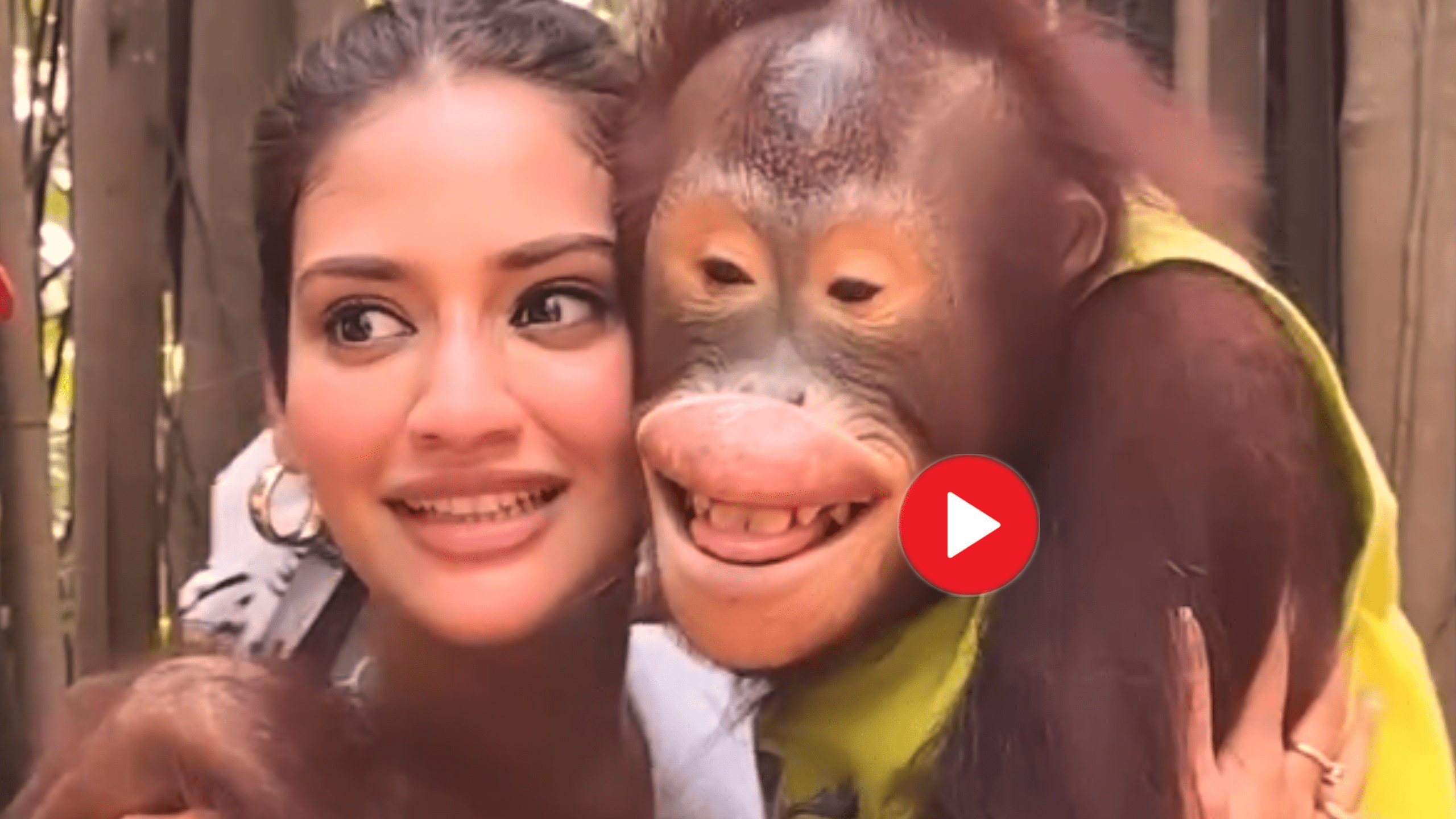 Two people's lips are exactly the same! Nusrat-chimpanzee pair goes viral