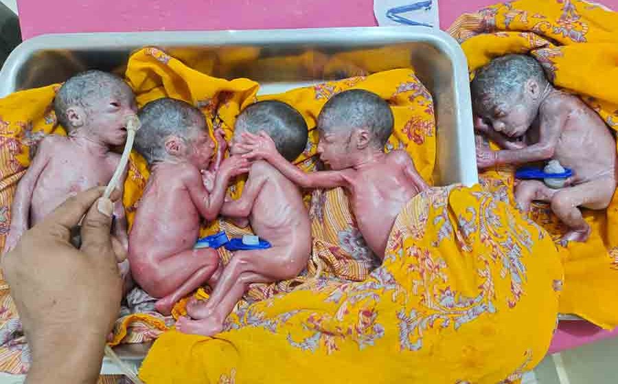 Amazing event! A woman gave birth to five children together