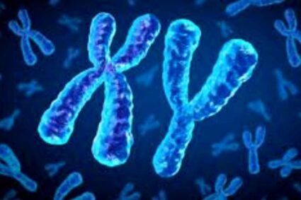 Y chromosome: পৃথিবী পুরুষ-শূন্য হওয়ার আশঙ্কা গবেষণায়, কত বছর পর?