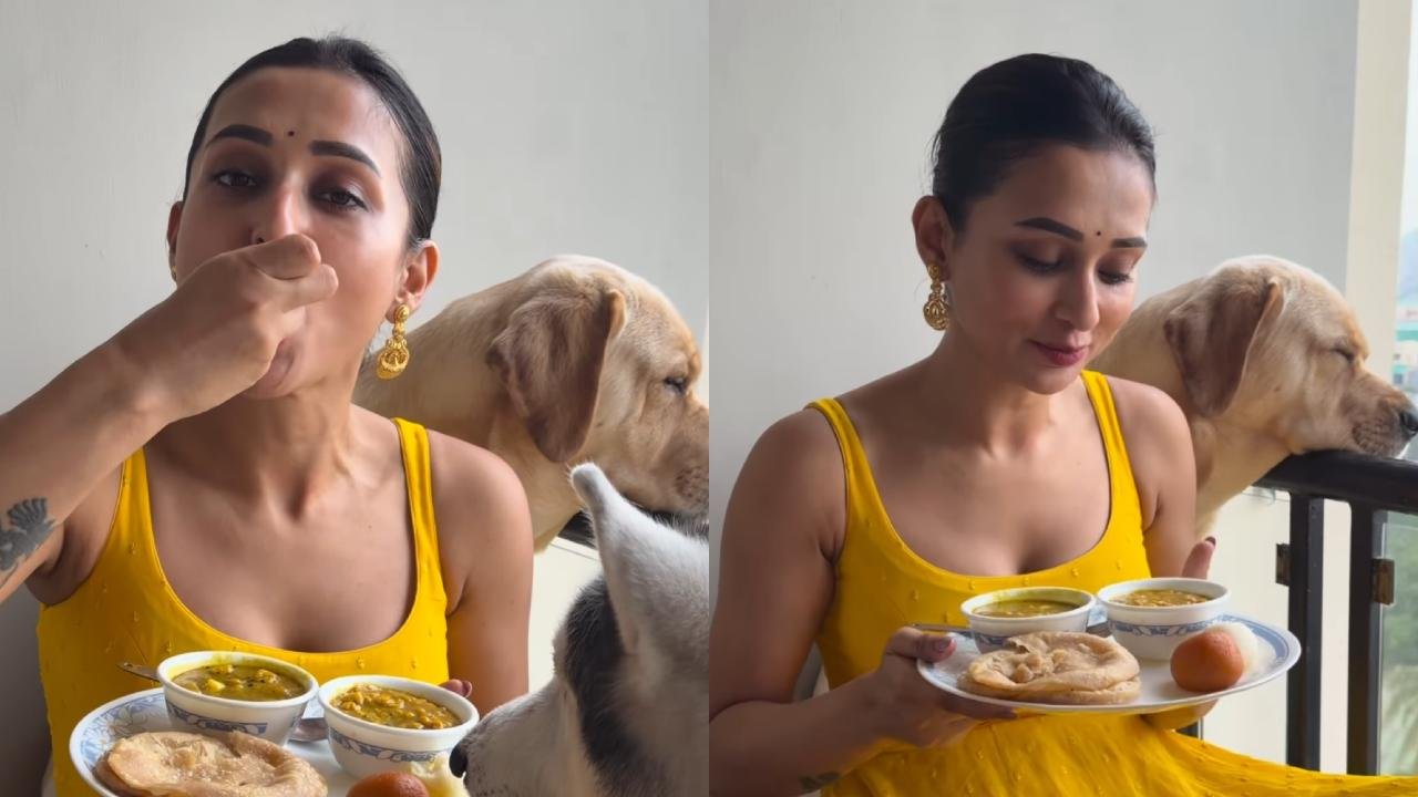 Picsart 25 09 30 23 11 12 231