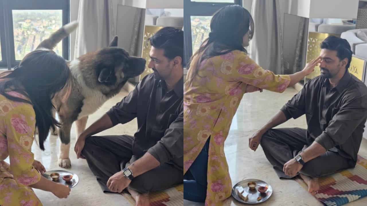 Picsart 25 10 23 17 59 49 183