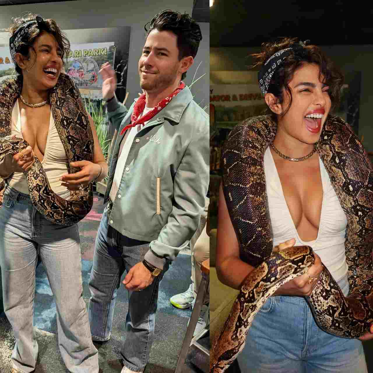 Picsart 25 10 30 15 27 52 128