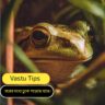 Vastu Tips