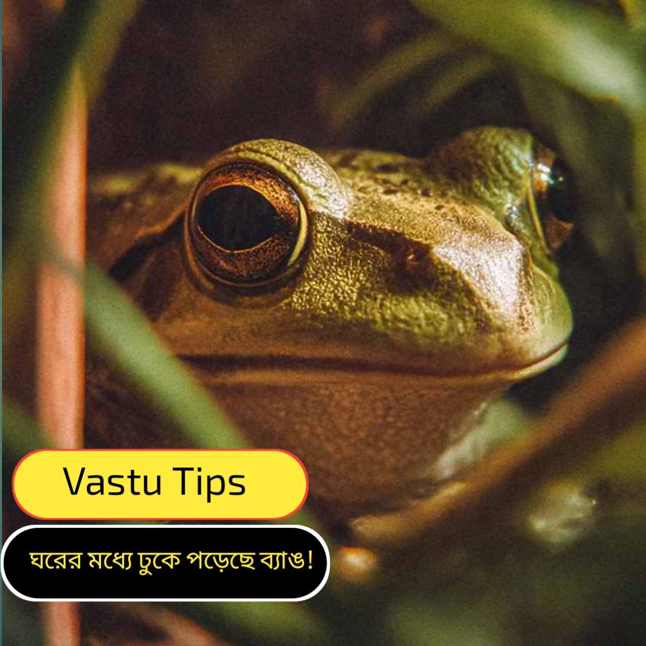 Vastu Tips