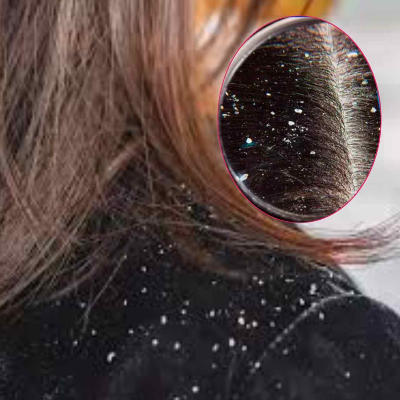 c1 20251029 07443002