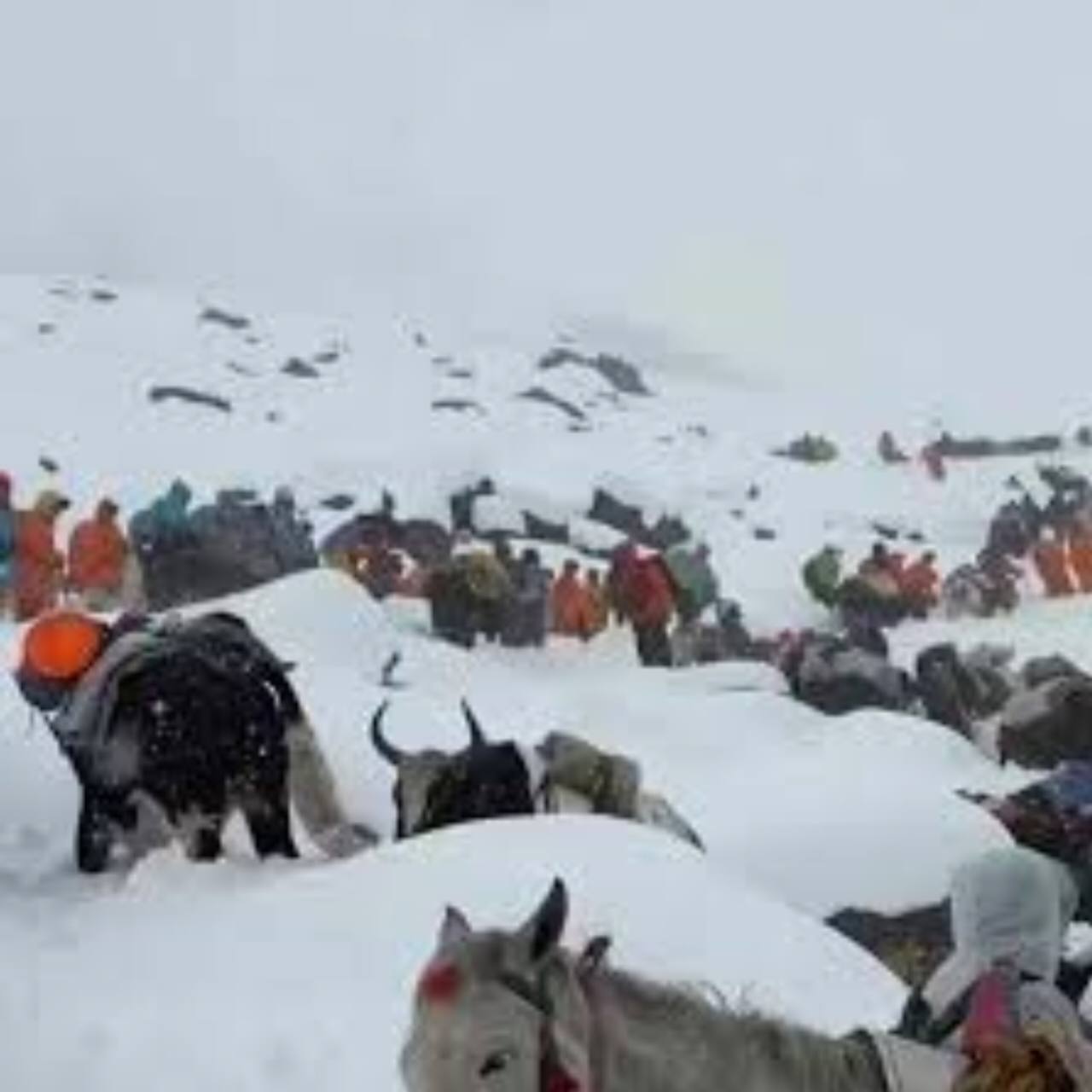 টানা বৃষ্টি-তুষারপাত, নেপাল এভারেস্ট সফরে গিয়ে আটকে আছেন বহু পর্যটক