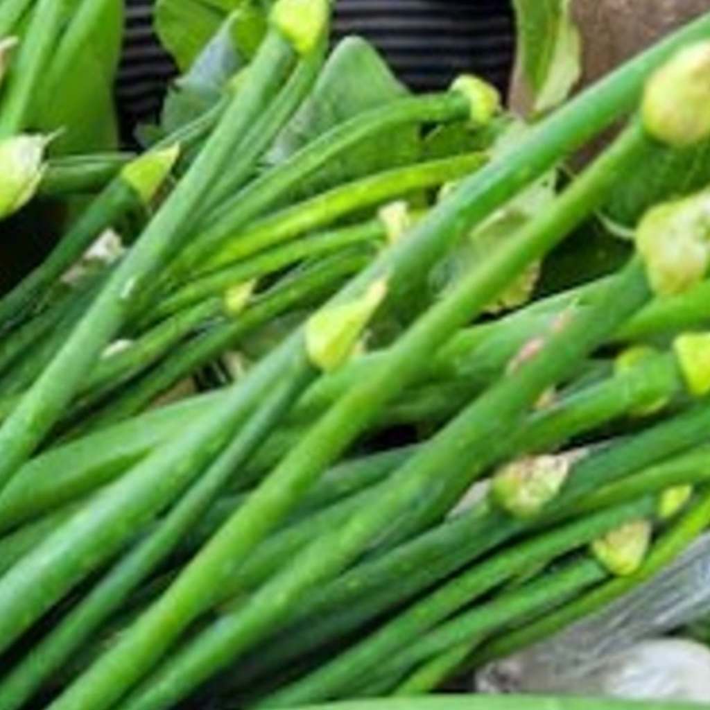 পেঁয়াজকলি