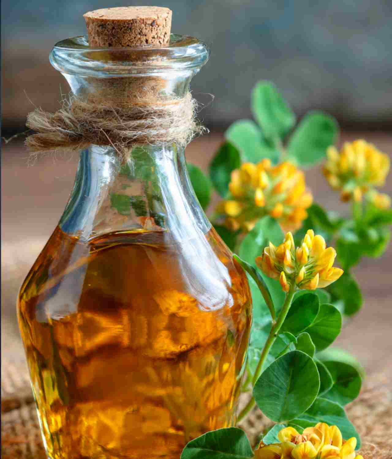 মেথি তেলের অসাধারণ গুণে শীতকালের চুলের যত্ন