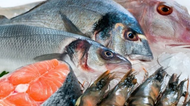 সামুদ্রিক মাছ