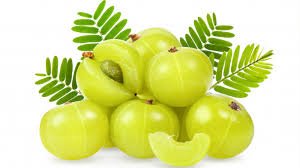 Amla