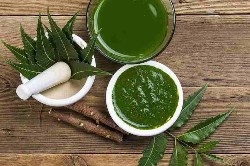 Neem leaves (নিম পাতা)