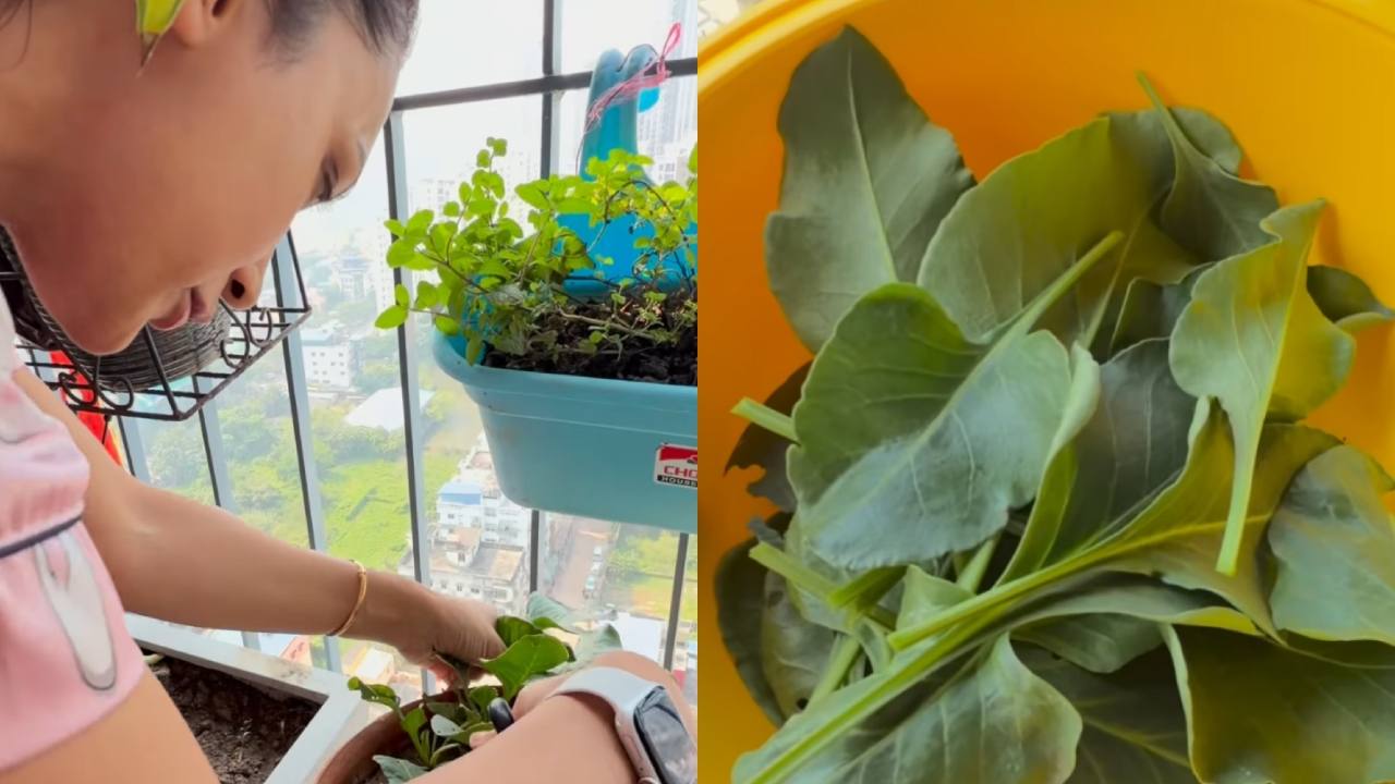 Picsart 25 11 15 15 45 19 161