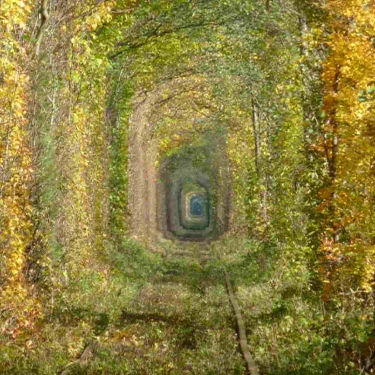 প্রেমের সুড়ঙ্গ: চার ঋতুর রঙে সাজানো ইউক্রেনের স্বপ্নপুরী পথ