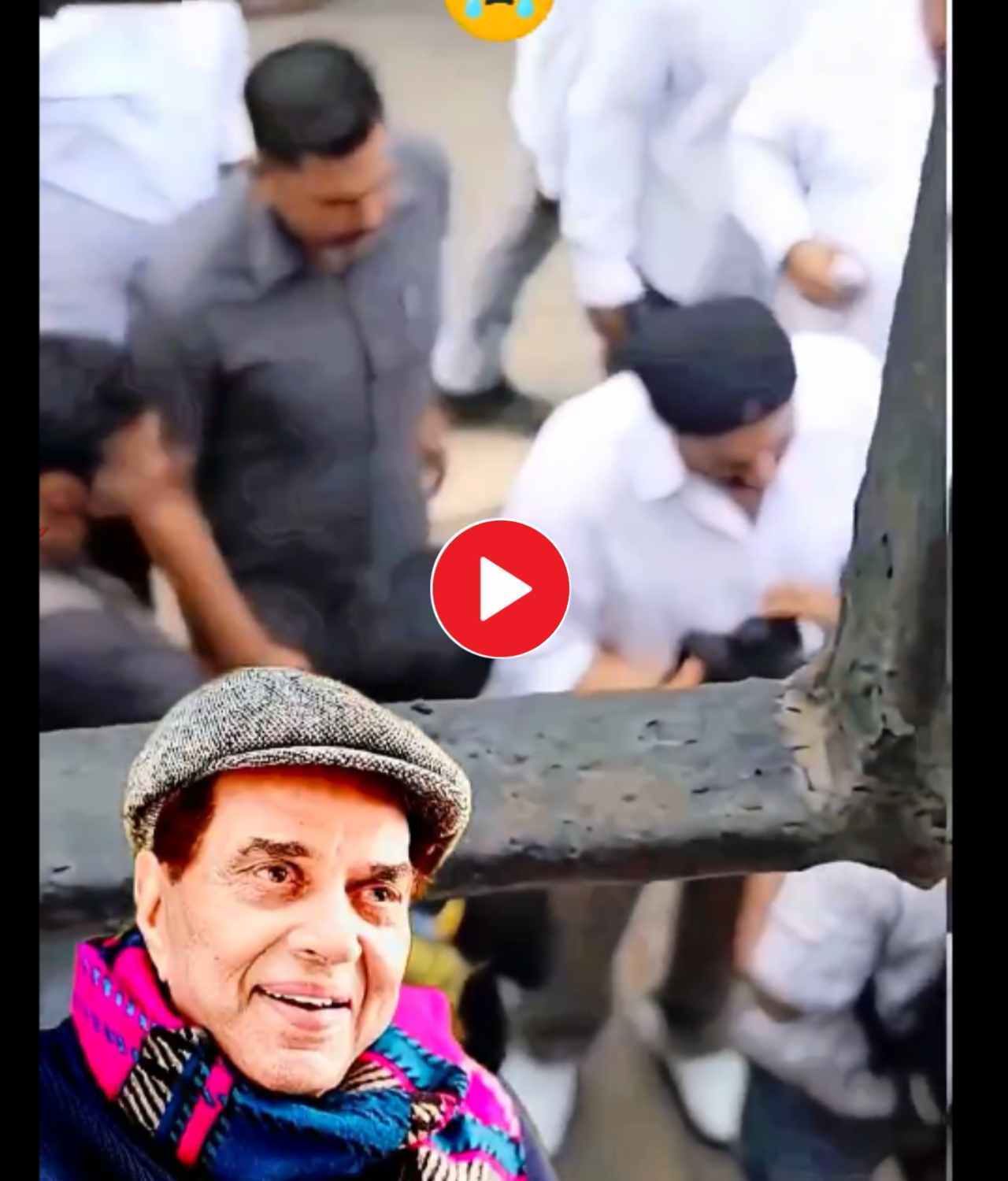 অস্থি বিসর্জনের ঘাটে তপ্ত সানি দেওল! পাপারাজ্জিদের প্রশ্ন— ‘কত টাকা চাই?’