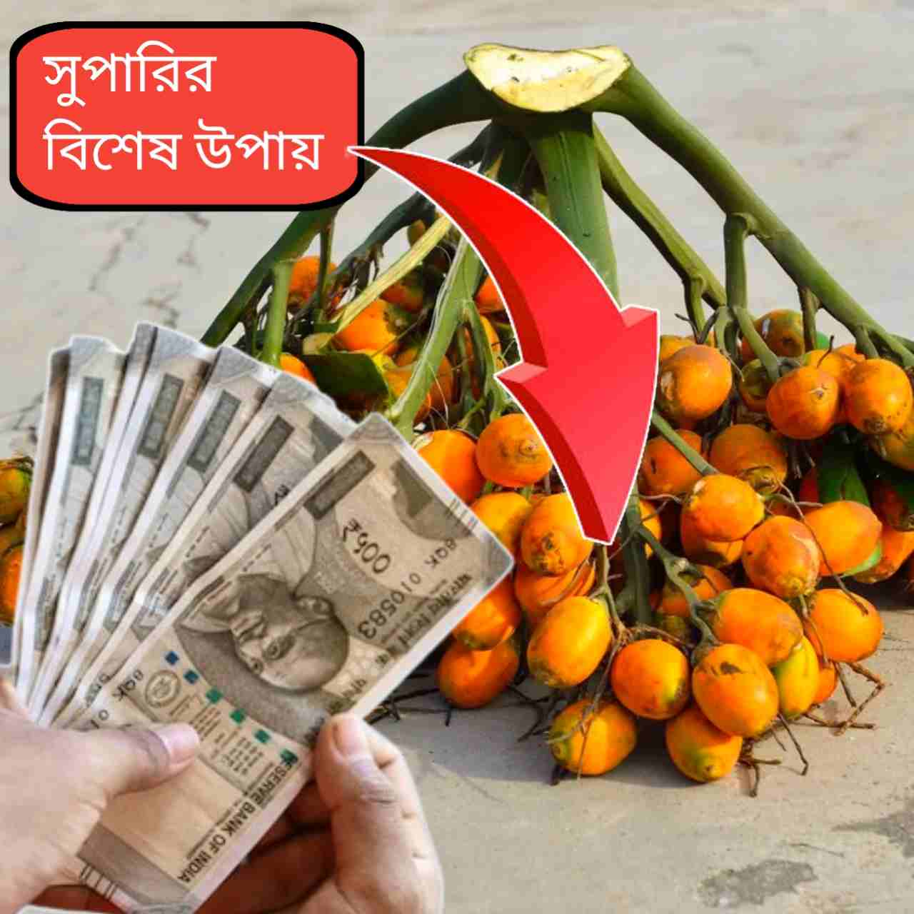 আর্থিক স্বস্তি থেকে উন্নতির আশা—হিন্দু আচার অনুযায়ী মান্য বিশ্বাস