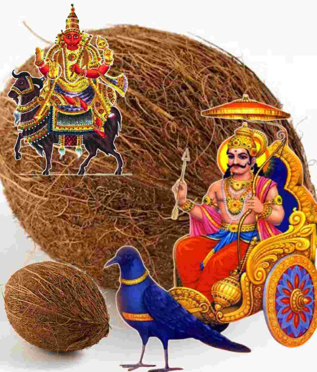 মঙ্গল-শনি দোষ কাটাতে নারকেলের টোটকা: হিন্দুশাস্ত্রে চার উপায়ের গুরুত্ব