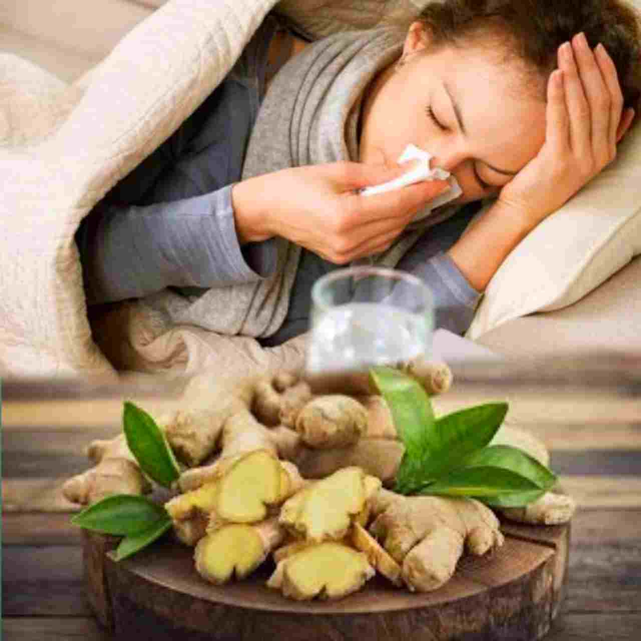 কাশিতে রাতের ঘুম হারাম? ১০ মিনিটে আরাম দেবে আদা–গুড়ের ক্যান্ডি