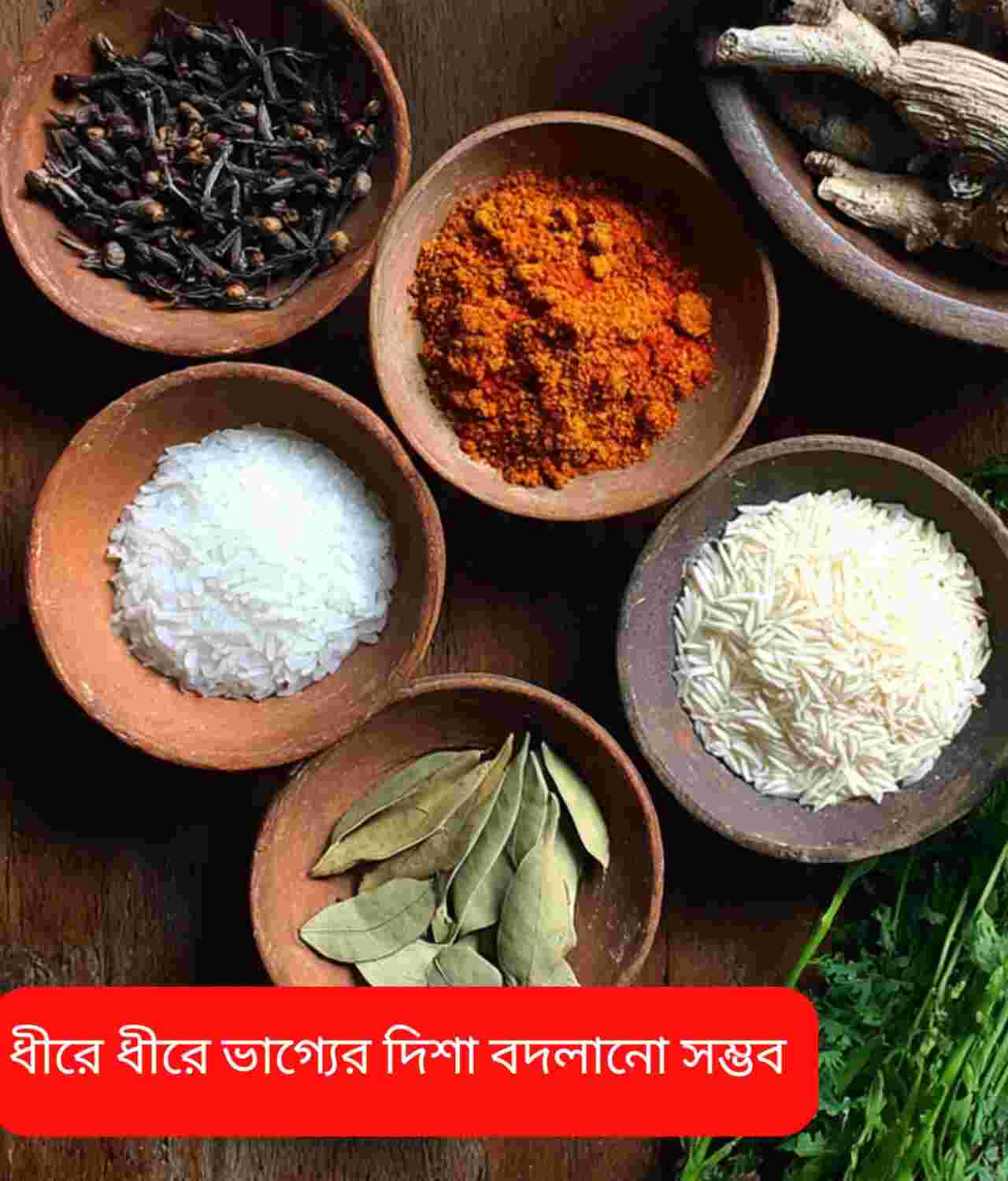 রান্নাঘরের তিন উপাদানে ভাগ্য শুদ্ধি: সহজ টোটকায় জীবনে ইতিবাচক পরিবর্তনের বিশ্বাস