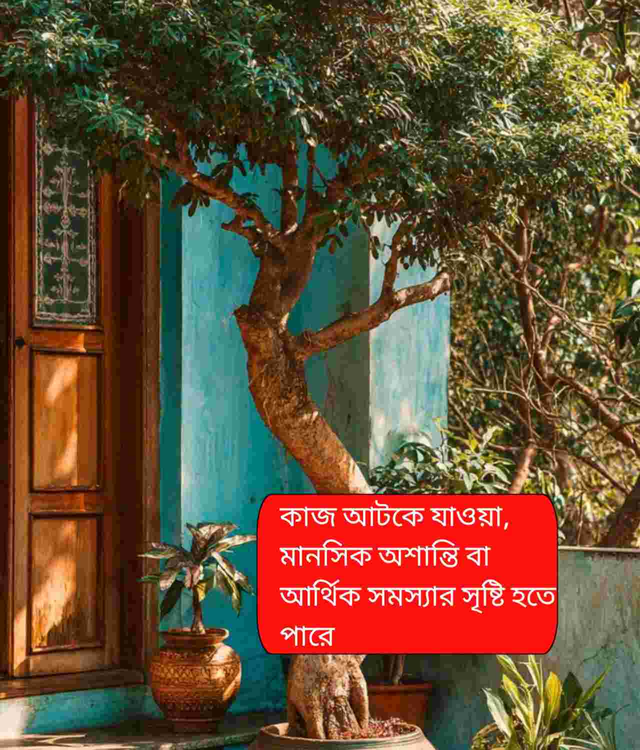 ২০২৬ আসার আগে বাড়িতে কোন গাছ লাগাবেন, কোনটা নয়? জেনে নিন গুরুত্বপূর্ণ বাস্তুটিপস