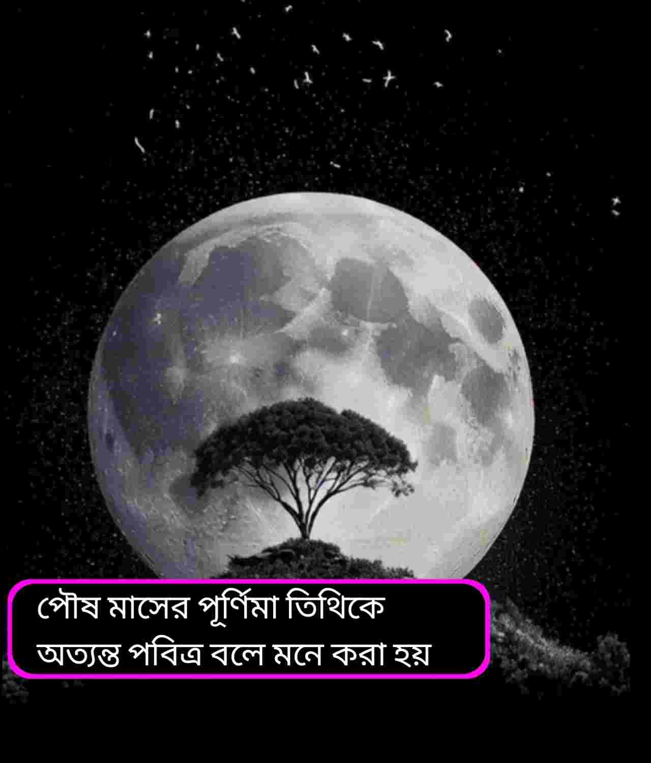 পৌষ পূর্ণিমা ২০২৬: কবে পড়ছে, কী করলে মিলবে পূণ্য ও সৌভাগ্য