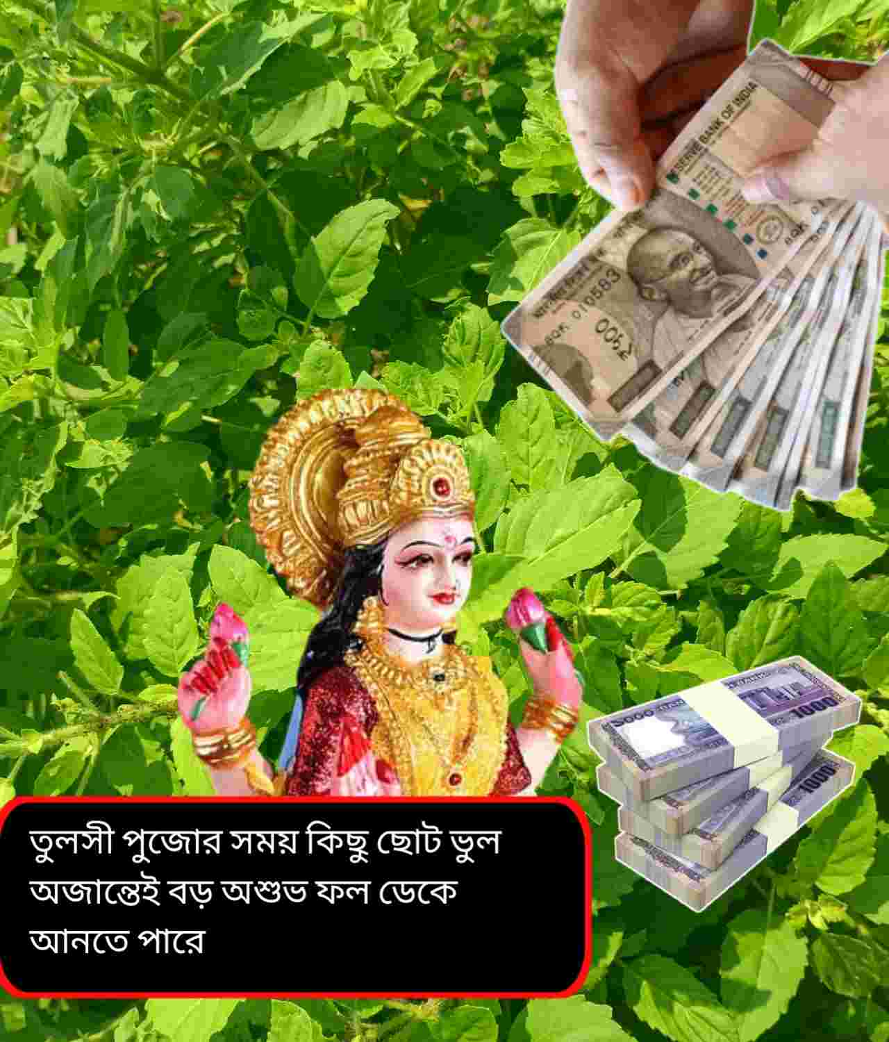 তুলসী পুজোর সময় এই ছোট ভুলে রুষ্ট হতে পারেন দেবী লক্ষ্মী, জেনে নিন সঠিক বিধি