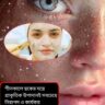 Face Pack: শীতের শুষ্কতা দূর করে প্রাকৃতিক উজ্জ্বলতা: উইন্টার গ্লো ফেসপ্যাকের জাদু