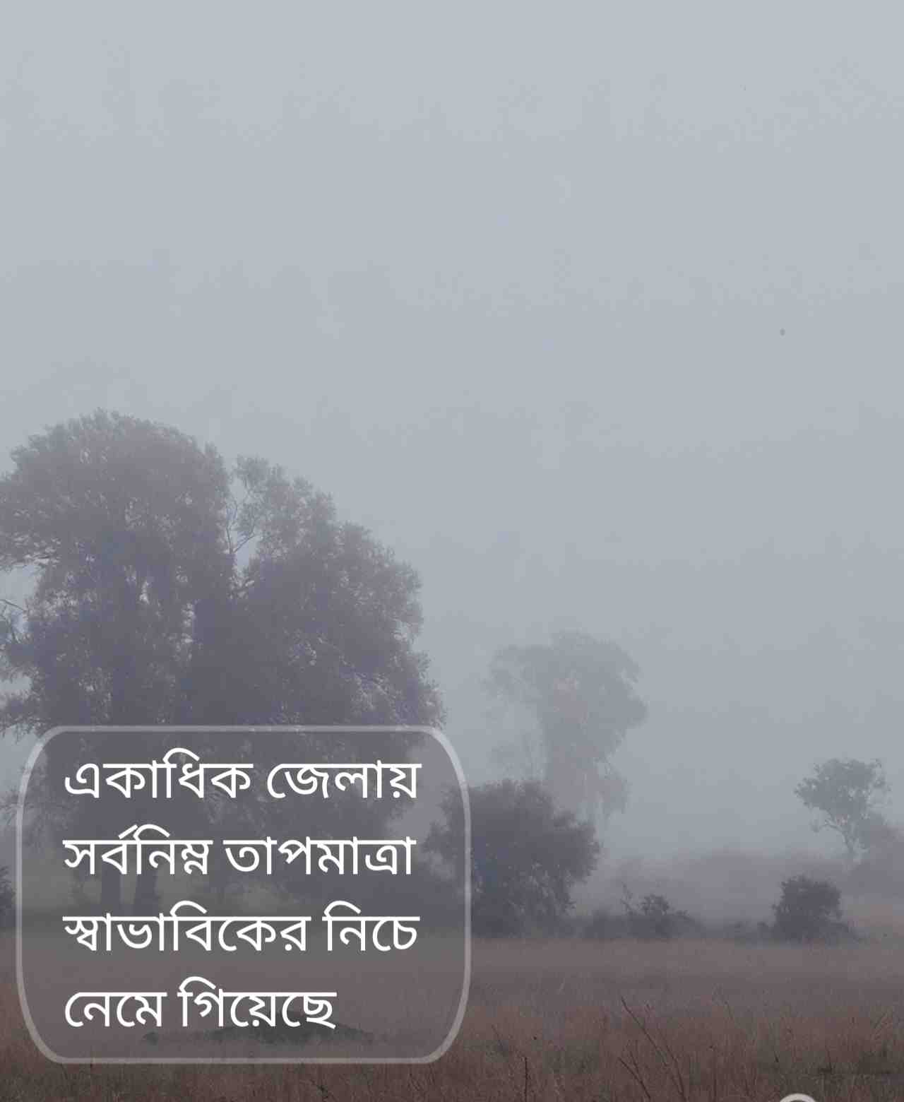 শীতের কামড়ে কাঁপছে বাংলা: কুয়াশায় ঢেকে একাধিক জেলা, পারদ নামল ৮ ডিগ্রিতে