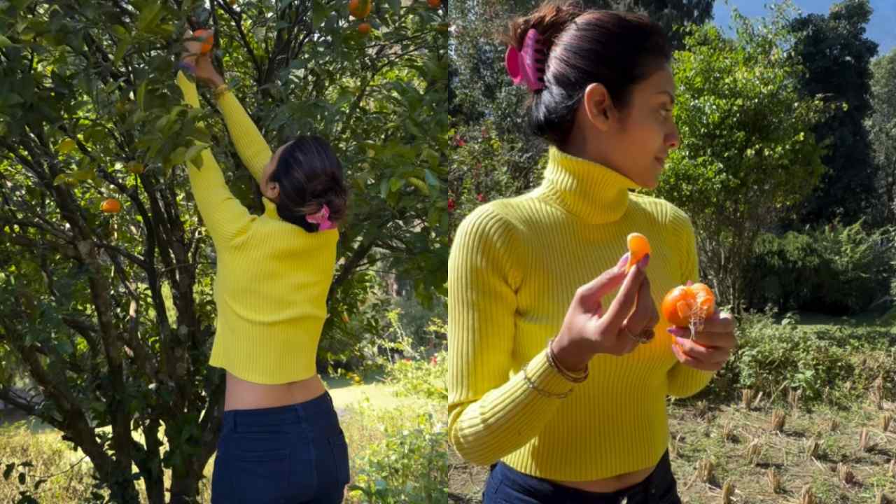 Picsart 25 12 02 11 10 29 475