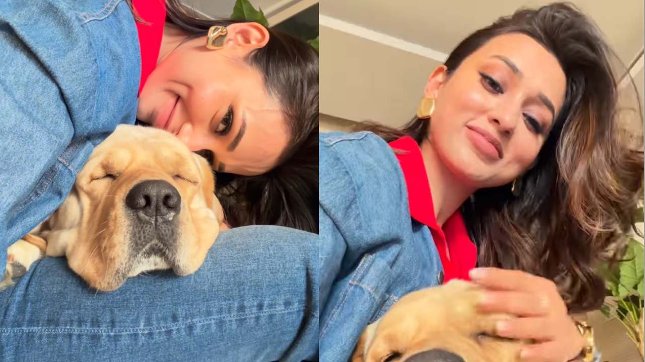 Picsart 25 12 16 14 55 54 043