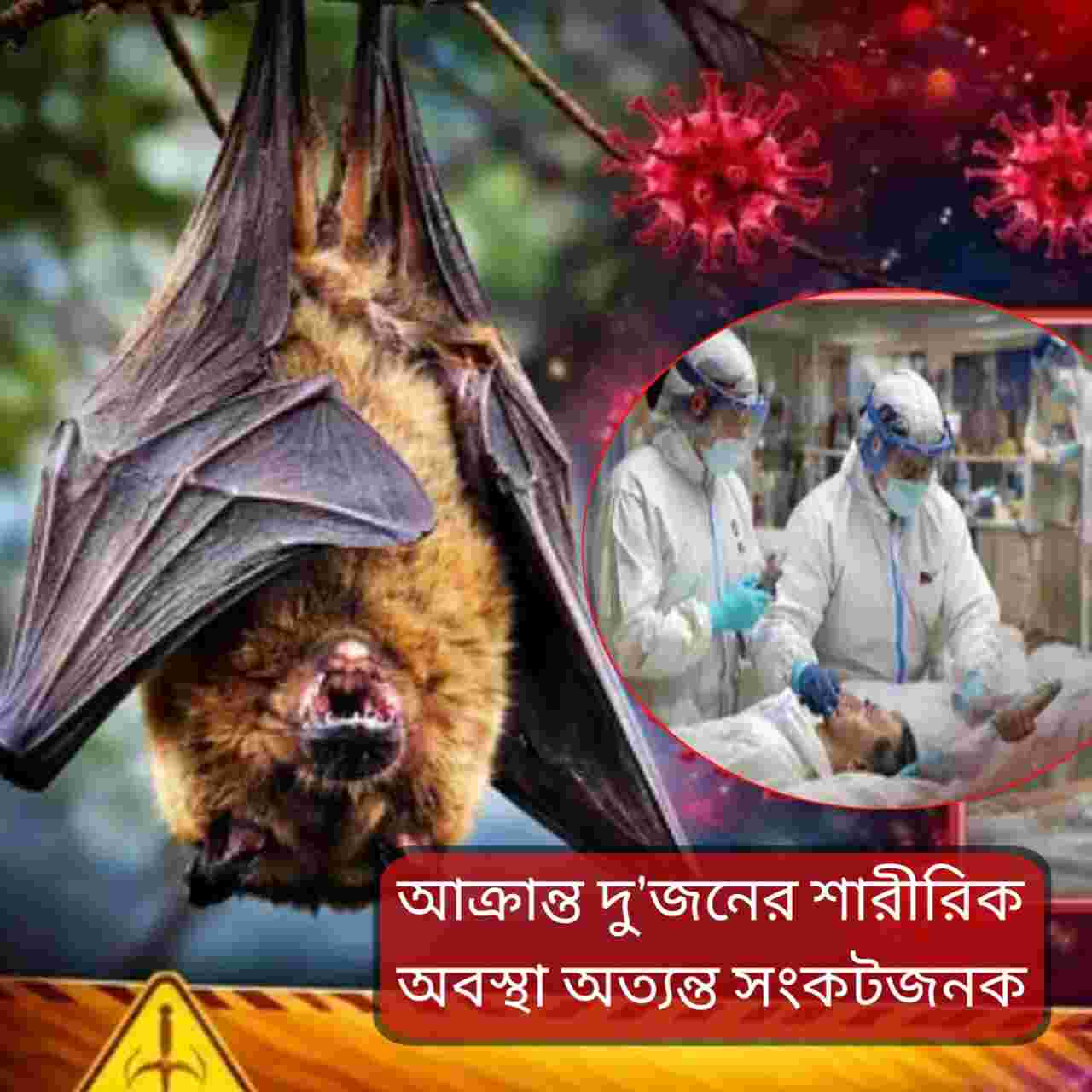 বারাসাতে নিপা আতঙ্ক: দুই নার্স আশঙ্কাজনক, ১২০ জন আইসোলেশনে