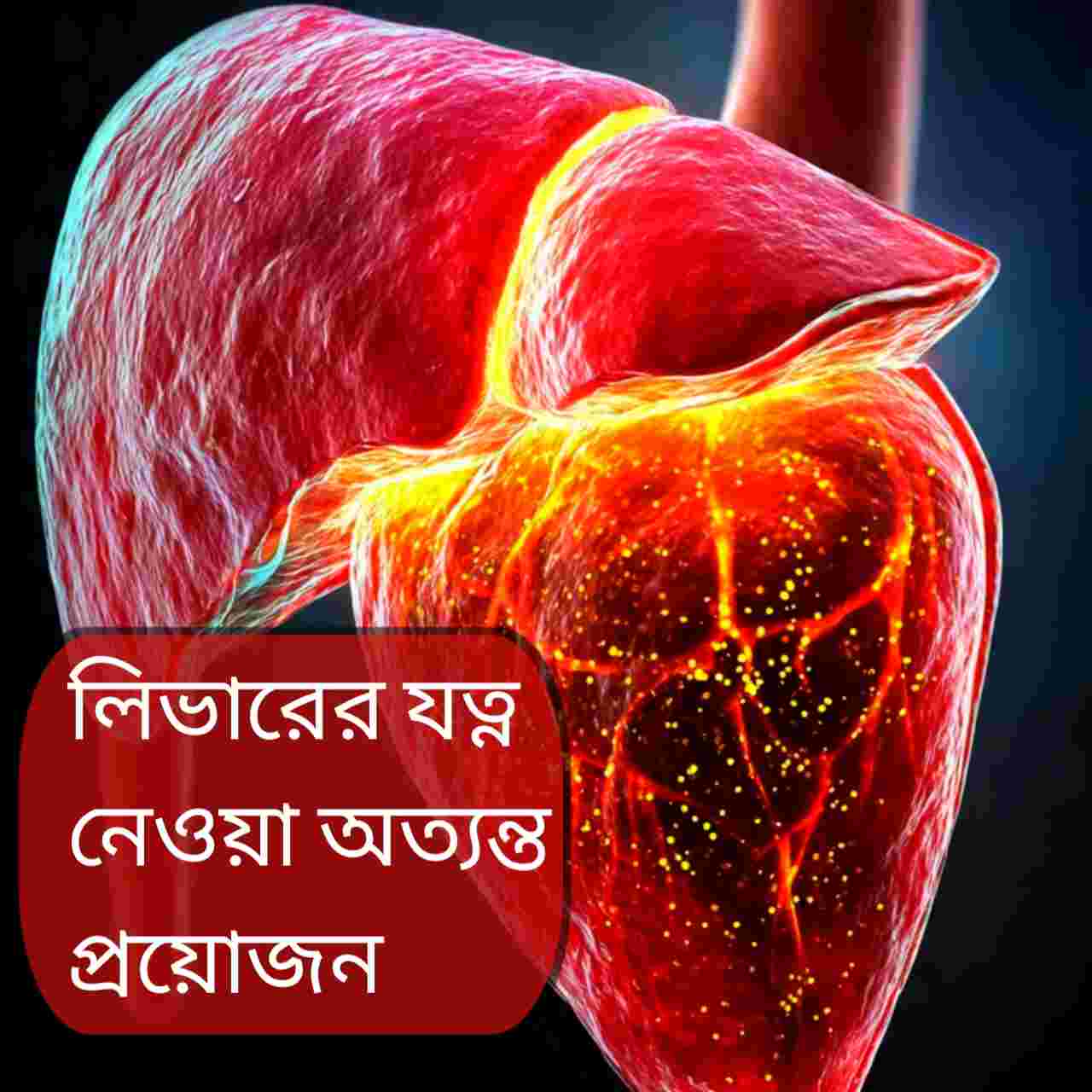 ফ্যাটি লিভার নিয়ন্ত্রণে খাদ্যাভ্যাস: কী খাবেন, কী এড়াবেন