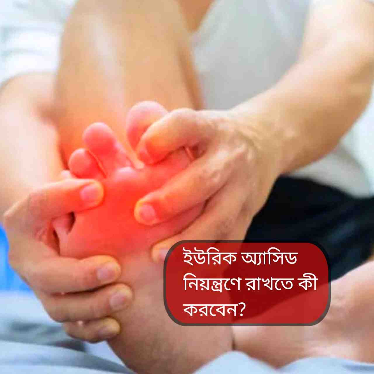 ইউরিক অ্যাসিডের সমস্যা থাকলে কোন খাবার একেবারেই খাবেন না? জানুন বিস্তারিত তালিকা