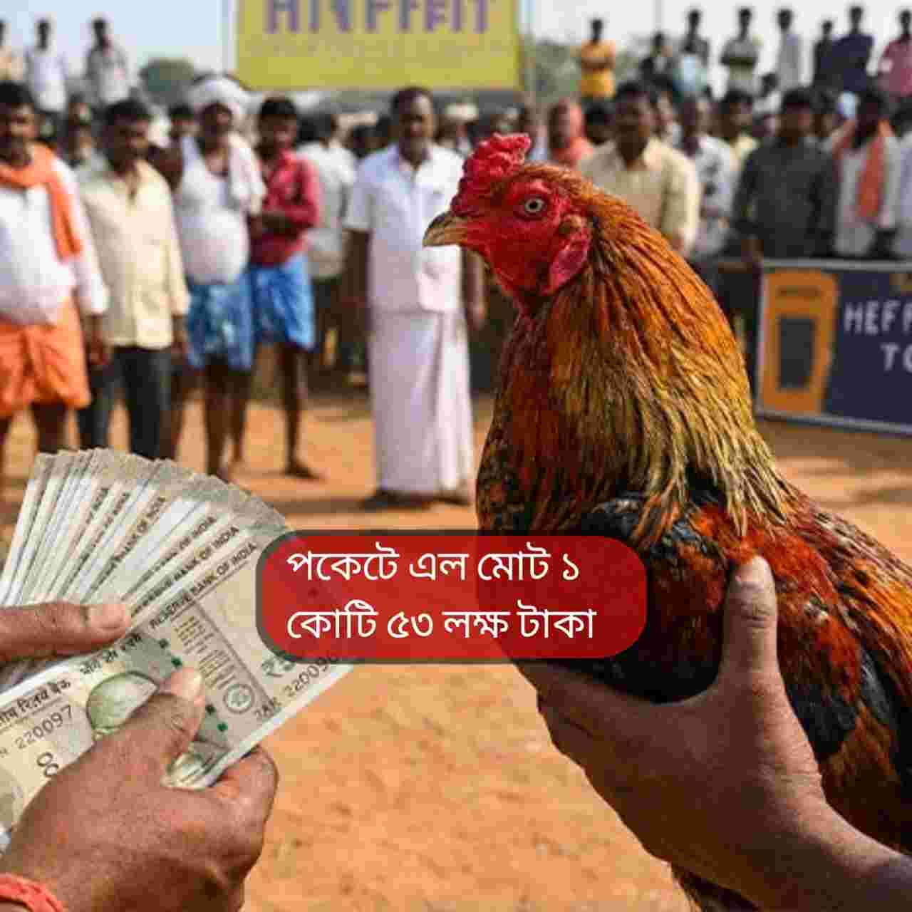 পোষা মোরগে রাতারাতি দেড় কোটির মালিক রাজামুন্দ্রি রমেশ