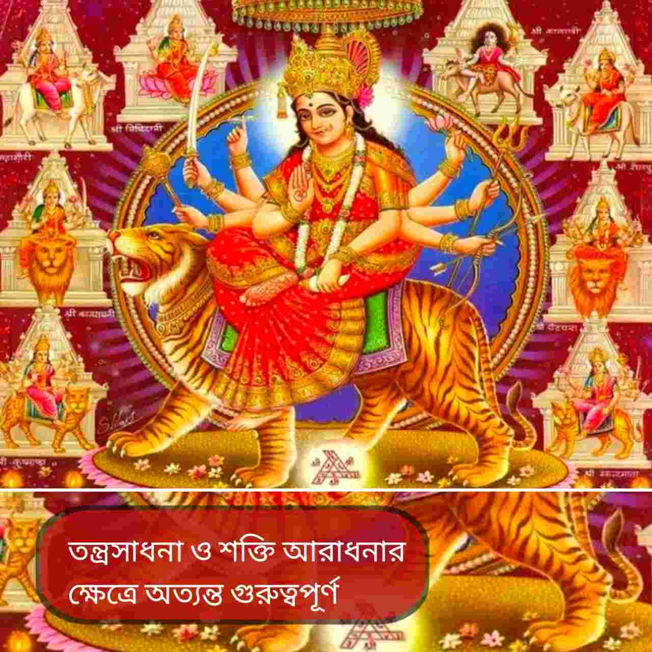 মাঘ গুপ্ত নবরাত্রি ২০২৬: কবে শুরু, দশ মহাবিদ্যার পূজা ও আধ্যাত্মিক তাৎপর্য