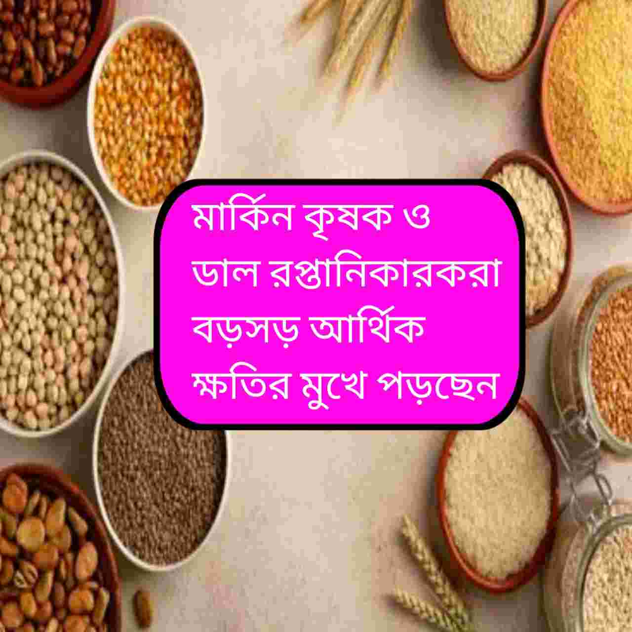 নিঃশব্দে প্রত্যাঘাত! মার্কিন ডালে ৩০% শুল্ক ঘিরে ভারত–আমেরিকা বাণিজ্য সংঘাত তীব্র