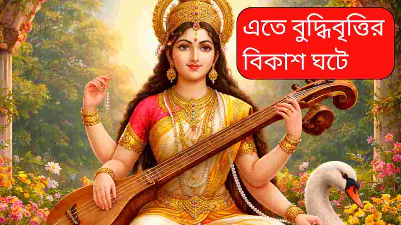 সরস্বতীপুজোয় বিদ্যা ও শুভ শক্তির আহ্বান: দশ সহজ উপায়ে জীবনে আসুক সাফল্য