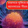 রান্নাঘরের অচেনা বিষ: রোজের ব্যবহারের জিনিসেই বাড়ছে ক্যানসারের ঝুঁকি