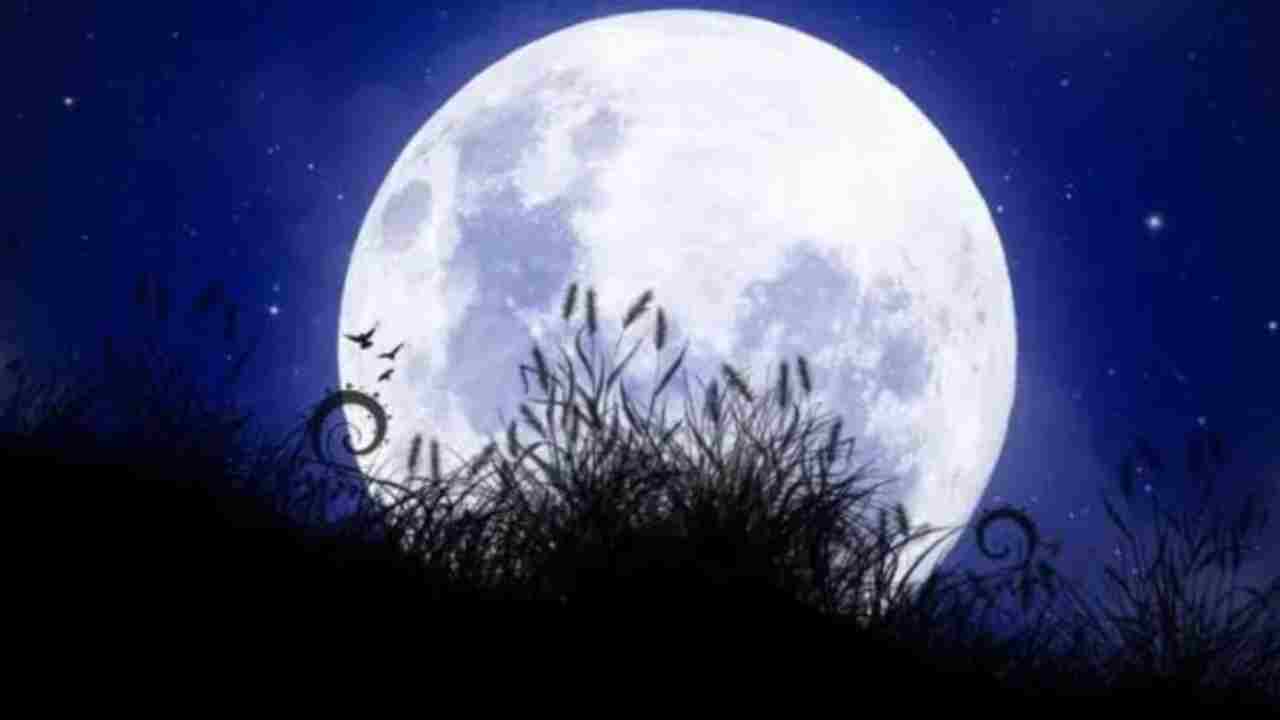 মাঘী পূর্ণিমা ২০২৬: গঙ্গাস্নান, বিষ্ণু আরাধনা ও দানের মহাপুণ্যে শান্তি-মোক্ষের সন্ধান