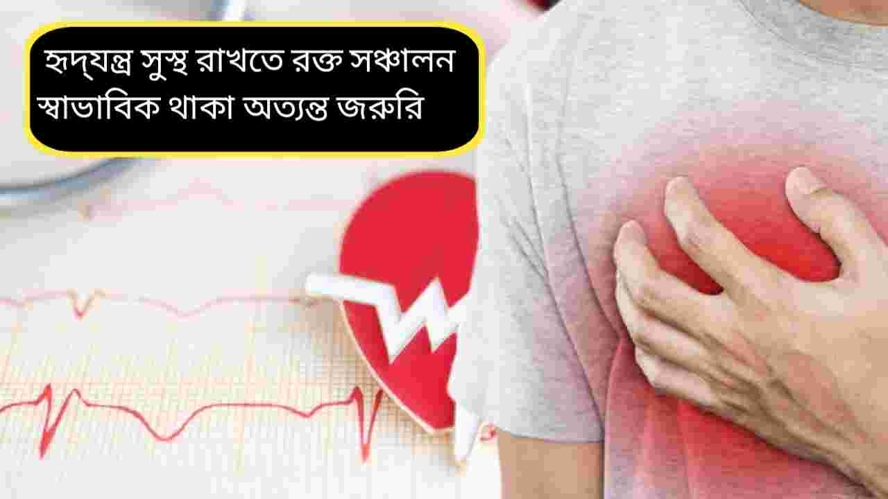 প্রাকৃতিক ব্লাড থিনার: হৃদ্‌রোগ ঠেকাতে কাজে আসে যে ৫ খাবার