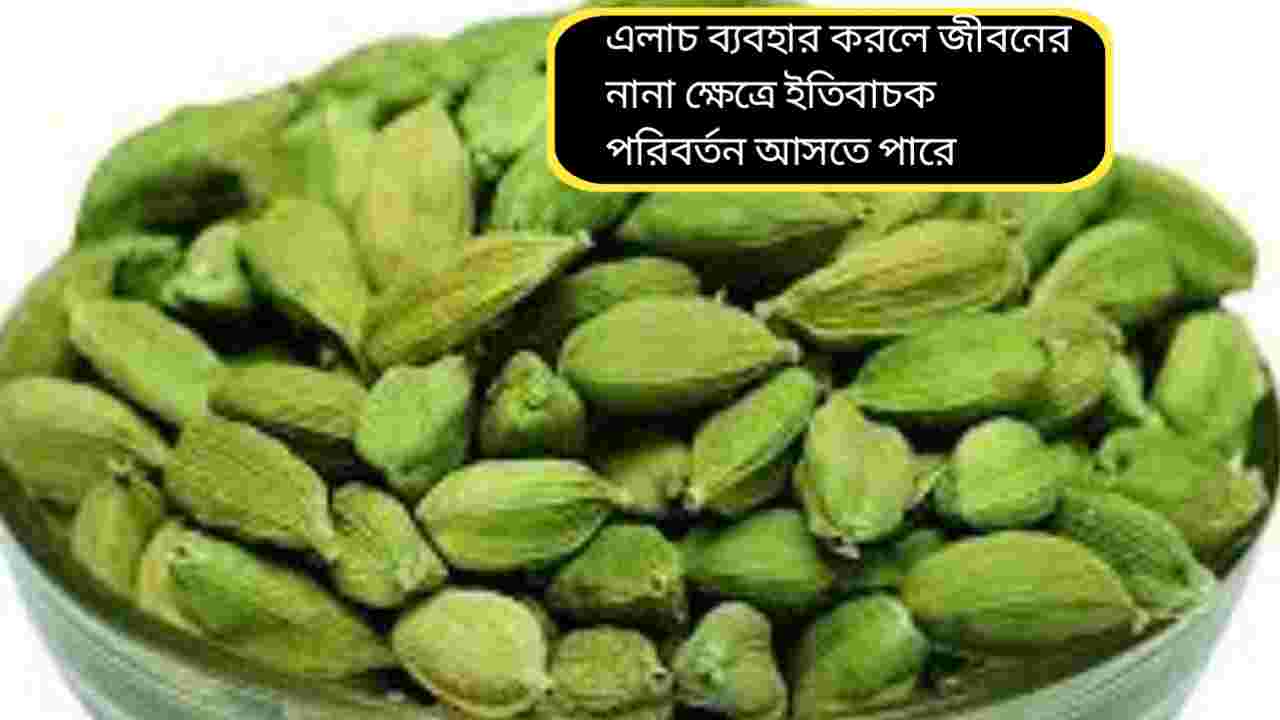 এলাচের টোটকায় বদলাতে পারে ভাগ্য: আর্থিক বাধা কাটিয়ে ঘরে আসবে লক্ষ্মীর কৃপা