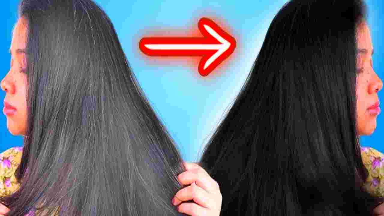 কম বয়সেই চুল পেকে সাদা? ঘরোয়া উপায়েই ফিরুক কালো চুলের জেল্লা