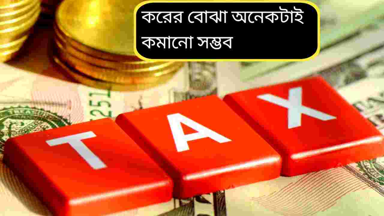 আয়করে বাড়তি ছাড় নেই, ৩১ মার্চের আগে কর বাঁচানোর শেষ ভরসা এই পরিকল্পনাগুলি