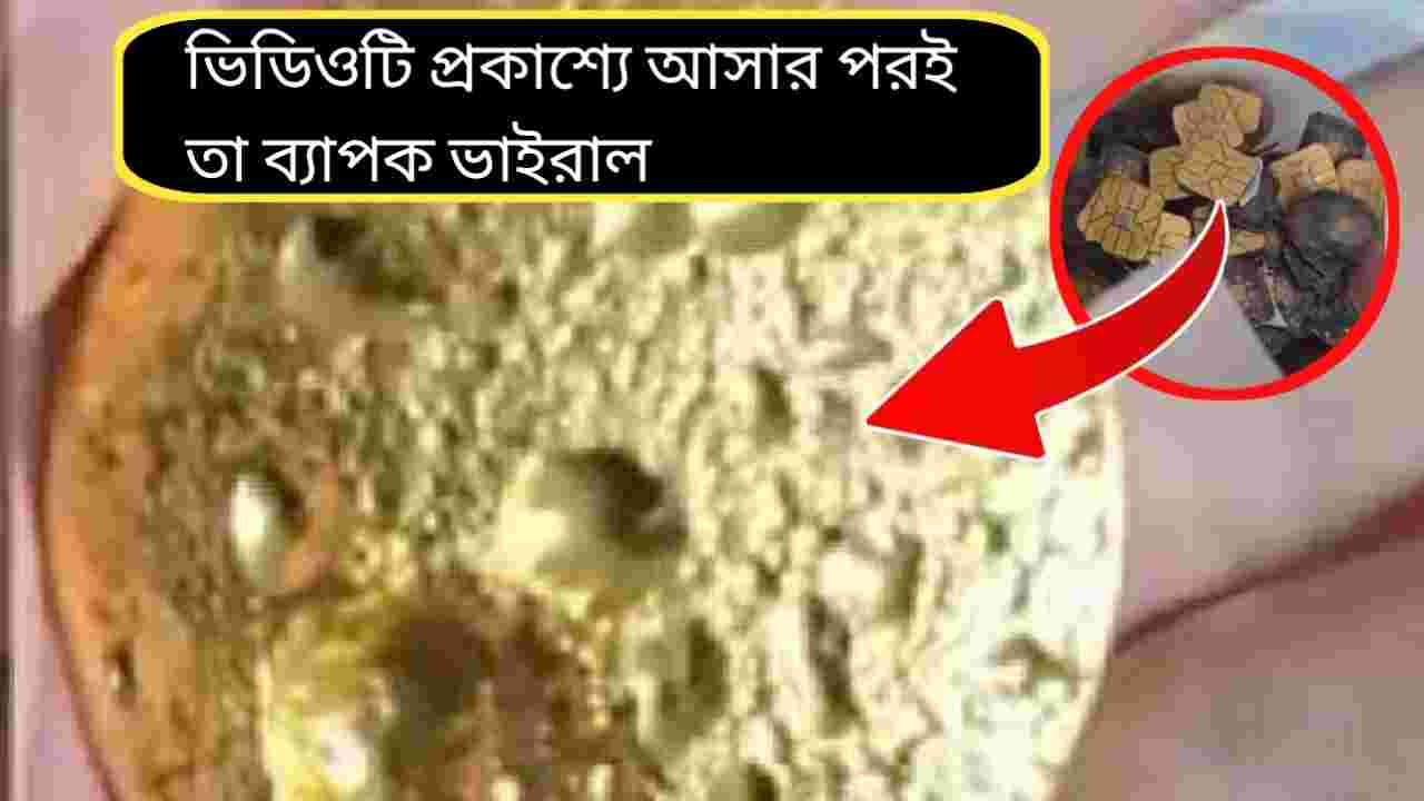 বাতিল সিম ও ই-ওয়েস্ট থেকে ২৭ লক্ষ টাকার সোনা উদ্ধার! চিনা তরুণের অভিনব সাফল্য